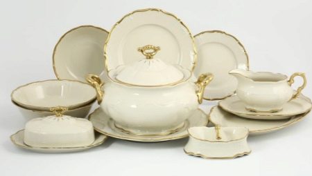 Bernadotte dishes: characteristics, pros and cons