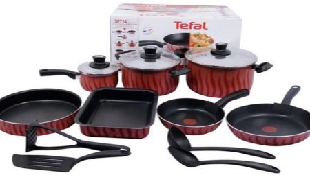 Tefal dishes: a variety of models