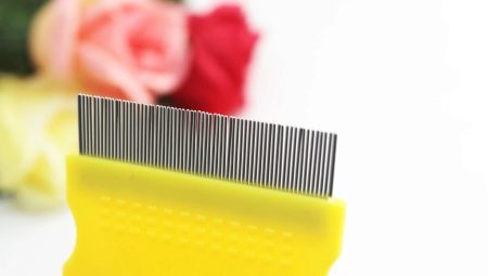 Combs for dogs: a variety of species and features of choice