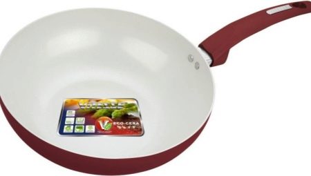ViTESSE Pans: Model Review