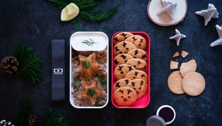 All about car lunch boxes