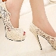 Lace Shoes