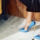 Blue Heeled Shoes