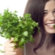 Parsley: properties and application rules for the face
