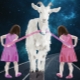 Twins born in the year of the Goat: characterization and compatibility