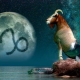 Male Capricorn born in the Year of the Rat: personality characteristics and compatibility