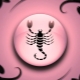 Scorpio male born in the Year of the Monkey: characteristic and compatibility