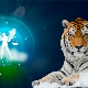 Male Libra-Tiger: characteristic and compatibility