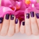 Eggplant Manicure: techniques, features and ideas