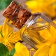 Celandine oil: properties, preparation and use