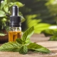 Peppermint Oil: Properties and Applications