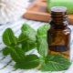 Menthol oil: properties and features of use