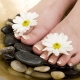 SPA pedicure: features and technology of performance