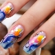 Stylish ideas manicure with dolphins