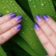 Interesting ideas for nail design with gradient