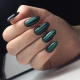 Manicure cat eye in green shades