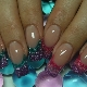 Features aquarium nail
