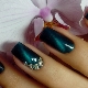 Features of creation and design ideas manicure cat's eye