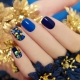 Blue manicure: stylish ideas and secrets of decor