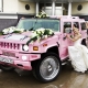 Wedding decorations for cars: types and designs