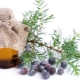 Properties of juniper oil and its application in cosmetology