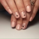 Manicure ordinary varnish: from the choice of design to create