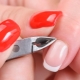 Manicure: features, technique and design ideas
