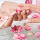 Manicure sticks: types, tips on choosing and using