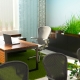 What should be the workplace for Feng Shui?