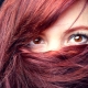 Burgundy-colored hair dye: for anyone, coloring rules