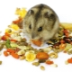 How to choose a feed for hamsters?