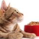 Cats for cats: the differences and nuances of choice