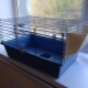 Guinea pig cages: selection and arrangement
