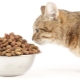 Food for sterilized cats and neutered cats