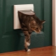 Choosing a door to the toilet for the cat