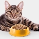 Grainless cat food