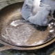 What to do if a cast iron pan burns?