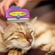 Furminators for cats: description, types, selection and application
