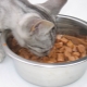 Food in bags for cats: what they do and how much to give per day?