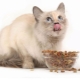 Holistic feed for sterilized cats