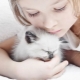 Cats for children: a review of the best breeds