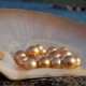 River pearls: features, properties and differences from the sea