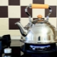 Teapots for the gas stove: types and subtleties of choice