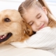 Dogs for children: description and selection of breeds