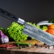 Japanese kitchen knives: types, rules of choice and care
