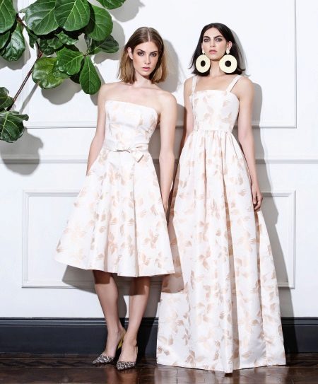 Short and Long Spring Feathers